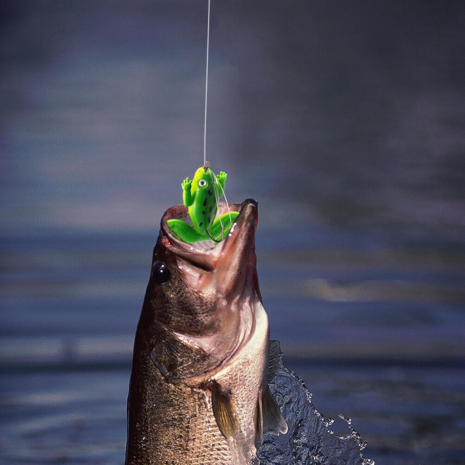 Frog Bait - 2 pcs set - Image 5